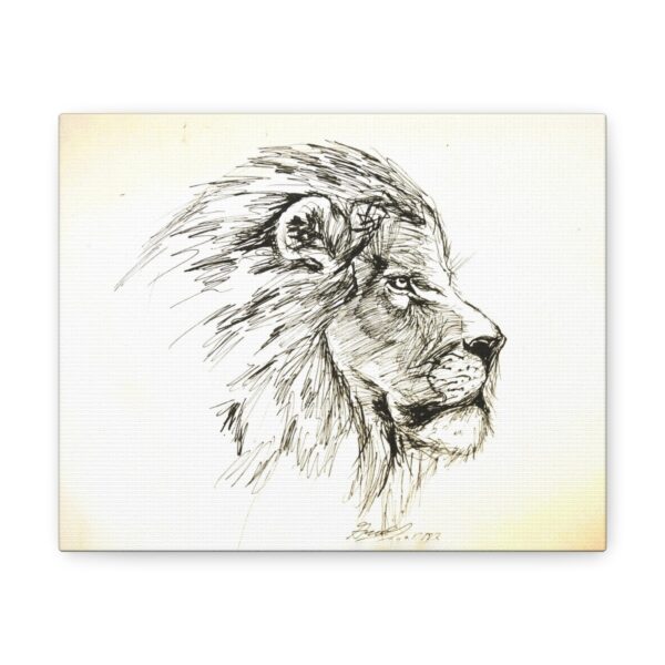 Lion Sketch Canvas Wall Art